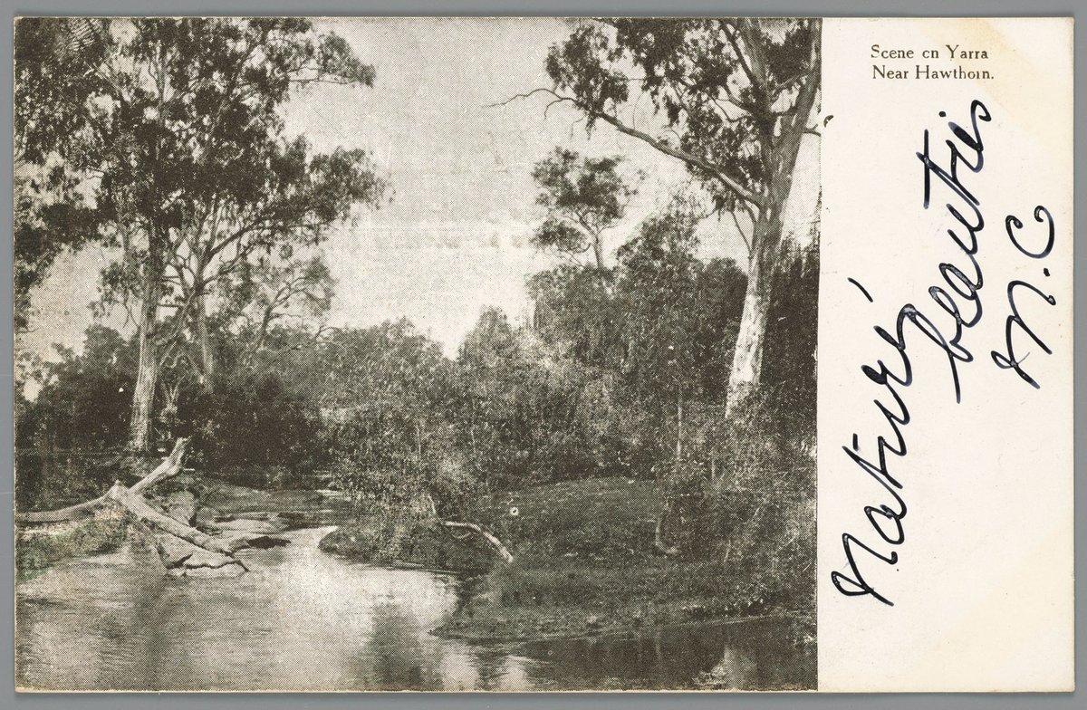 Scene on Yarra Near Hawthorn (c. 1907)