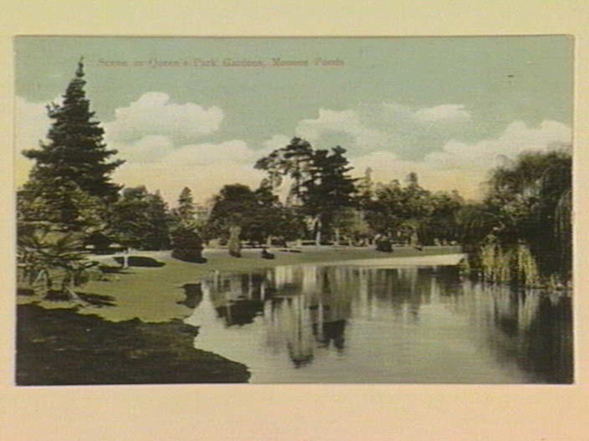 Scene in Queen's Park Gardens, Moonee Ponds (c. 1906)