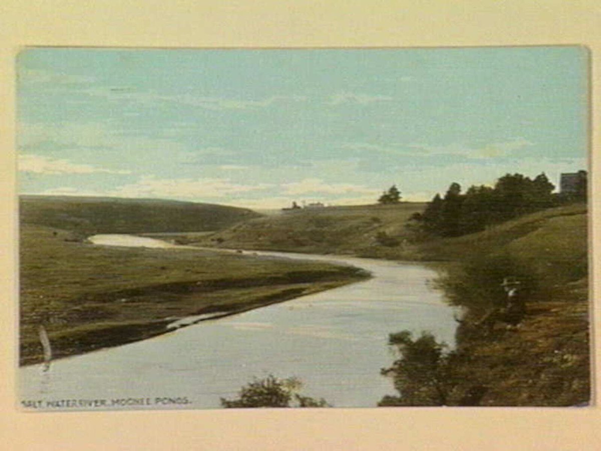 SALT WATER RIVER, MOONEE PONDS (c. 1909)