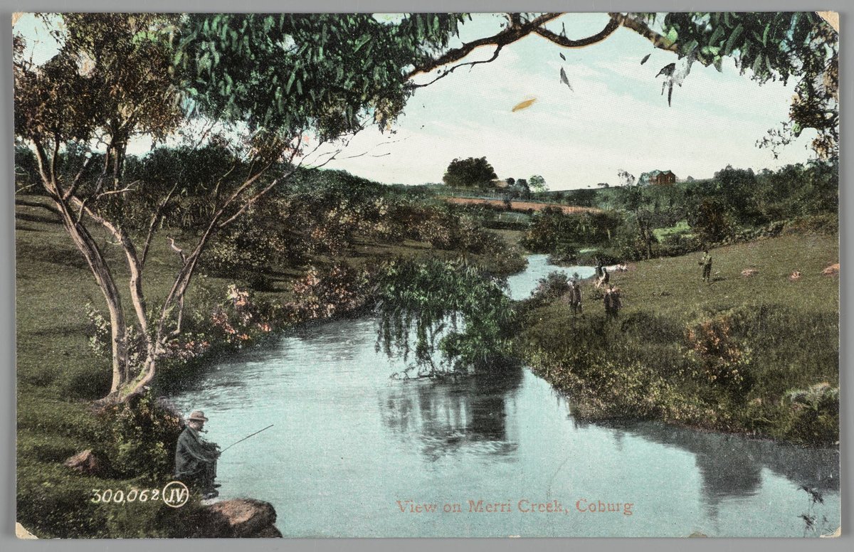 View on Merri Creek, Coburg (c. 1914)