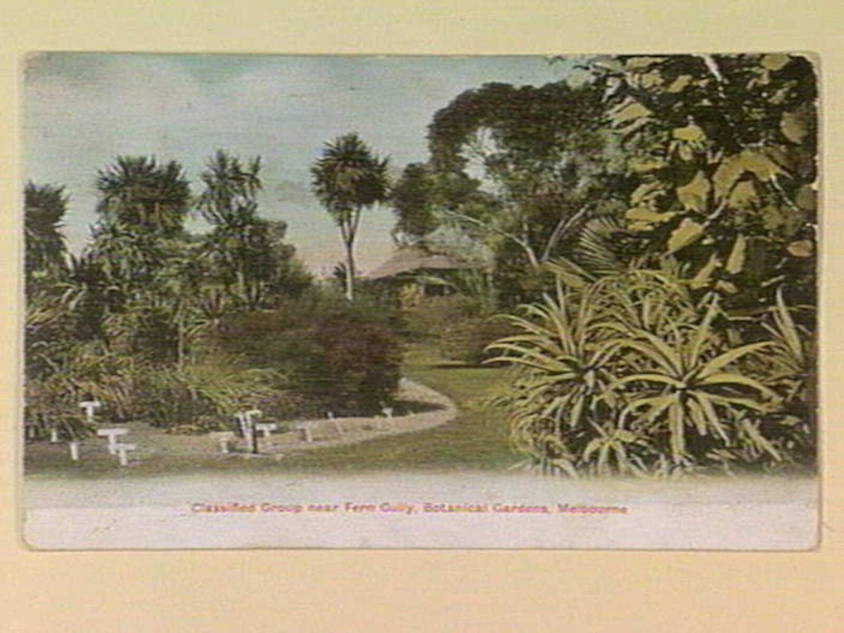 Classified Group near Fern Gully, Botanical Gardens, Melbourne, Melbourne City (c. 1907)