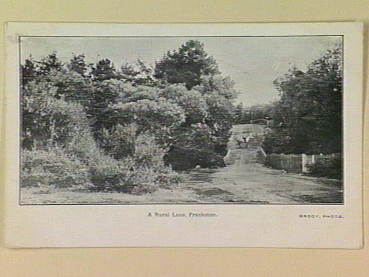 A rural Lane, Frankston (c. 1906)