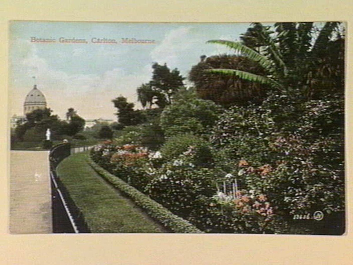 Botanic Gardens, Carlton, Melbourne, Melbourne City (c. 1911)