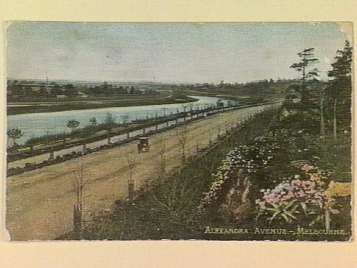 ALEXANDRA AVENUE. - MELBOURNE, Melbourne City (c. 1906)