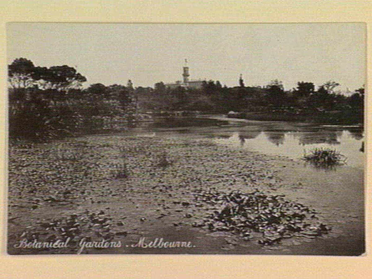 Botanical Gardens, Melbourne, Melbourne City (c. 1905)