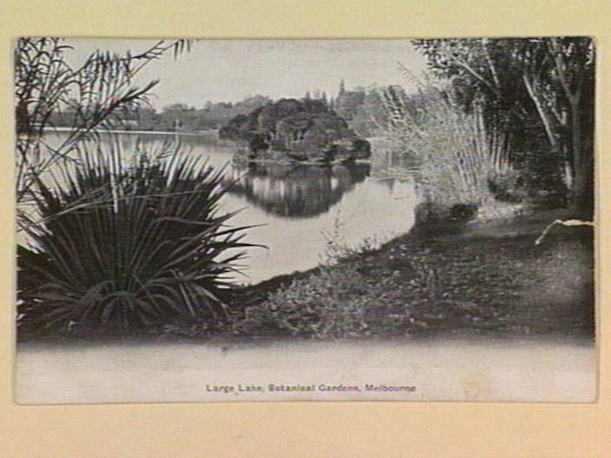 Large Lake, Botanical Gardens, Melbourne, Melbourne City (c. 1905)