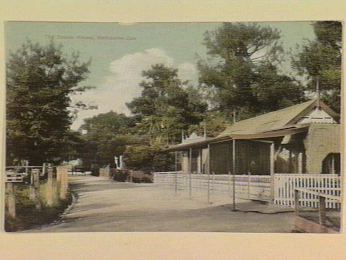 The Snake House, Melbourne Zoo, Parkville (c. 1905)
