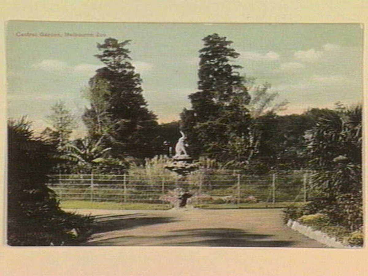 Central Garden, Melbourne Zoo, Parkville (c. 1905)