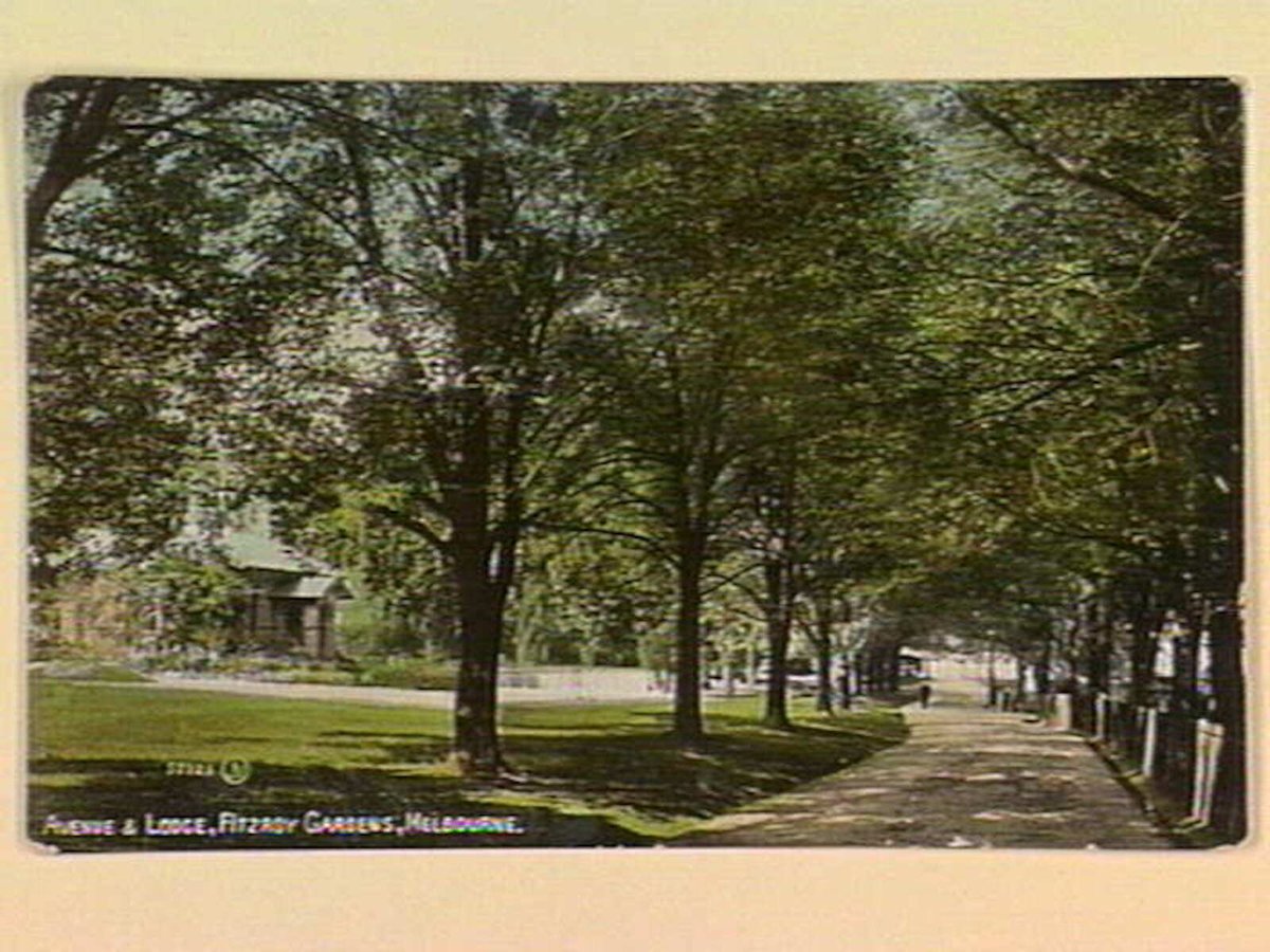 AVENUE & LODGE, FITZROY GARDENS, MELBOURNE, East Melbourne (c. 1909)