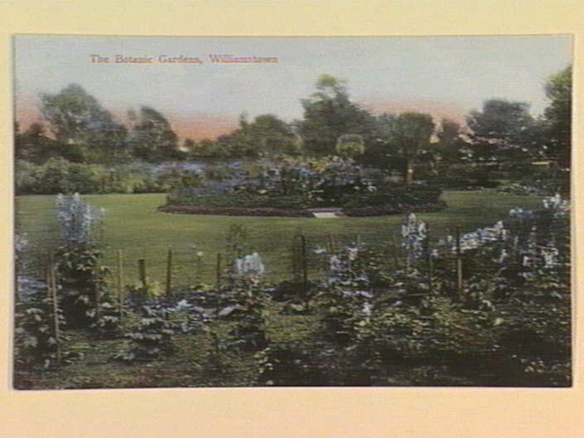 The Botanic Gardens, Williamstown, Melbourne City (c. 1906)