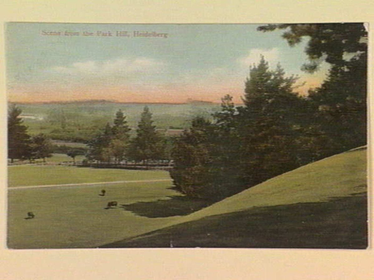 Scene from the Park Hill, Heidelberg (c. 1907)