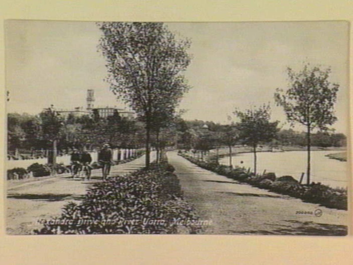 Alexandra Drive and River Yarra, Melbourne, Yarra River (c. 1906)