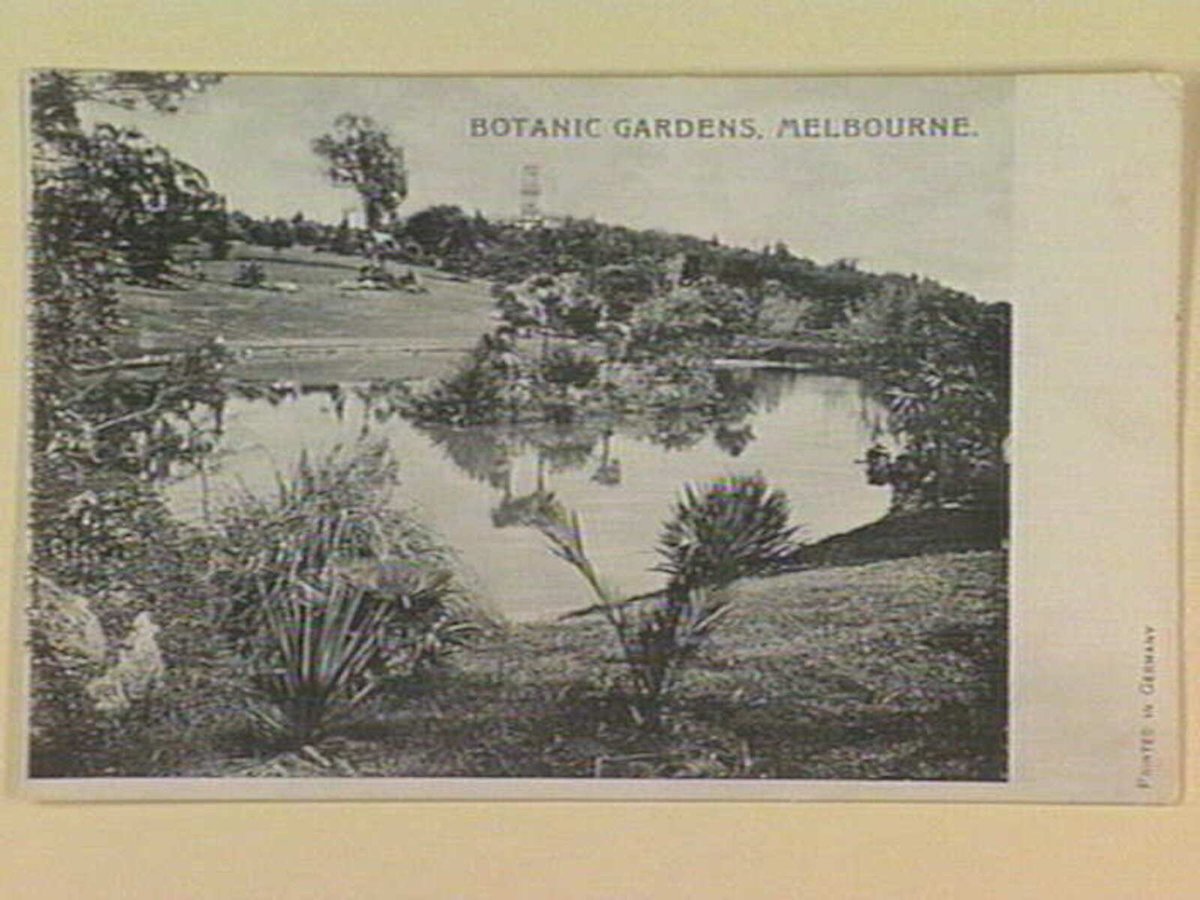 BOTANIC GARDENS, MELBOURNE, Melbourne City (c. 1903)