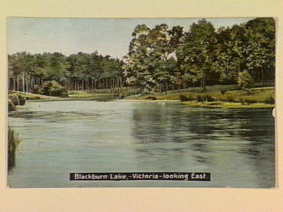 Blackburn Lake, - Victoria - looking East (c. 1907)