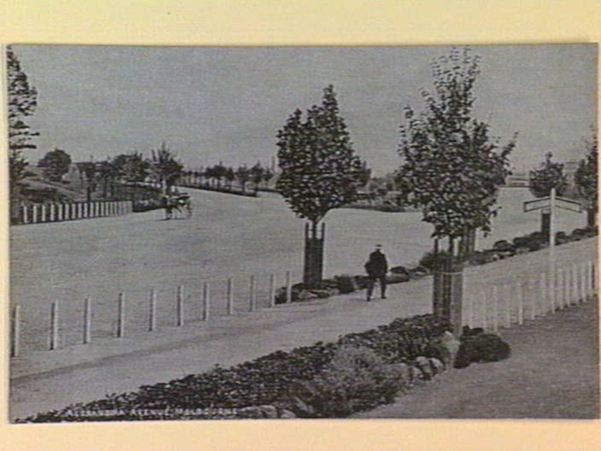 ALEXANDRA AVENUE, MELBOURNE, Melbourne City (c. 1908)