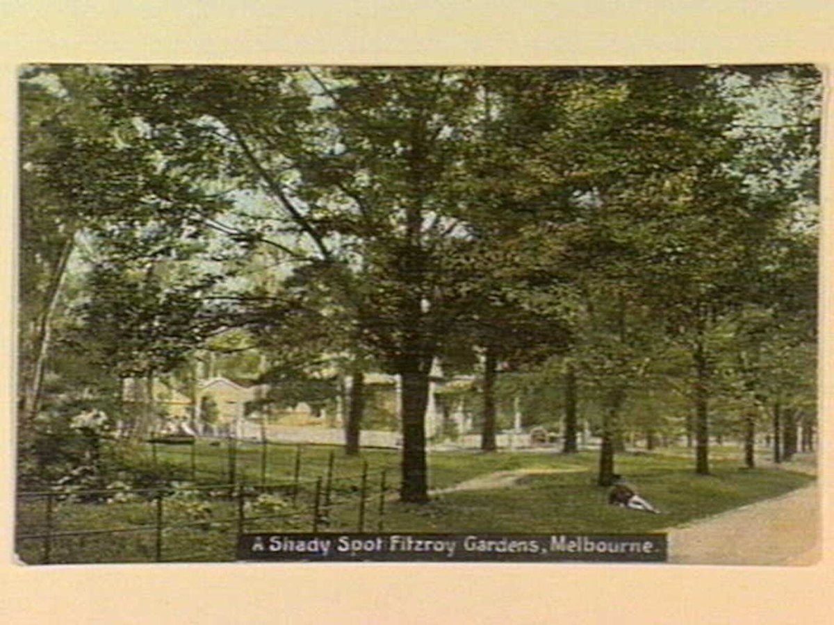 A Shady Spot Fitzroy Gardens, Melbourne, East Melbourne (c. 1908)