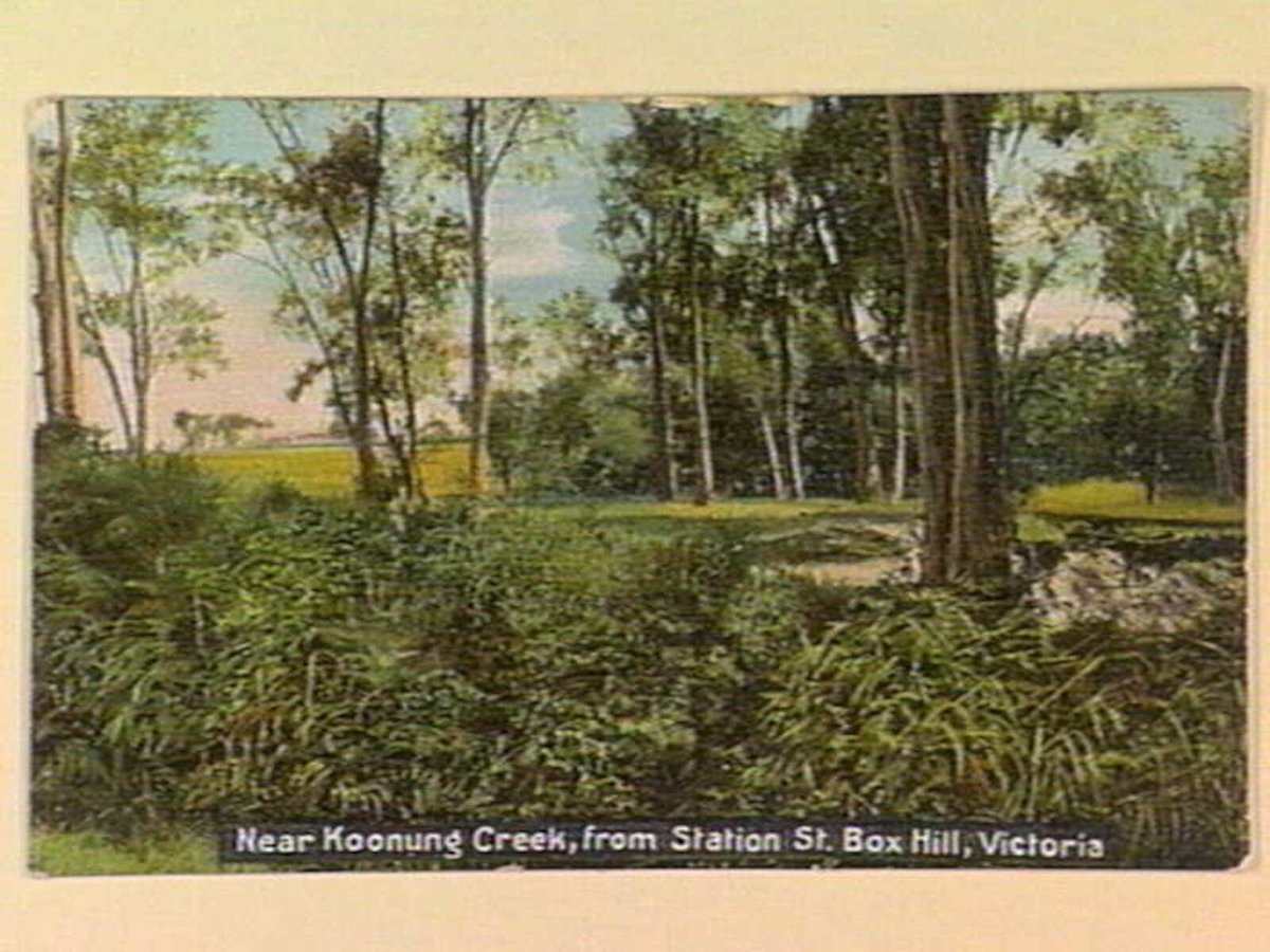 Near Koonung Creek, from Station St. Box Hill, Victoria (c. 1907)
