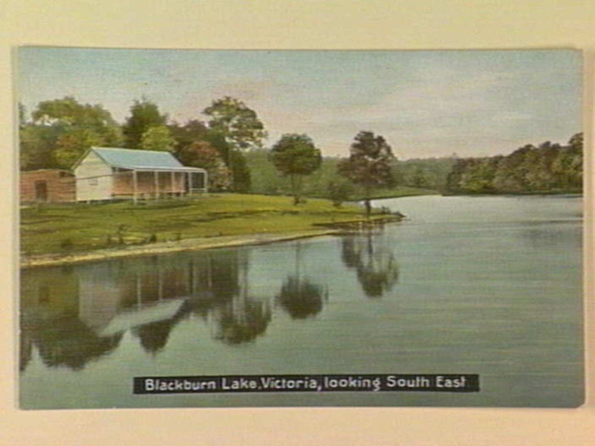 Blackburn Lake, Victoria, looking South East (c. 1908)