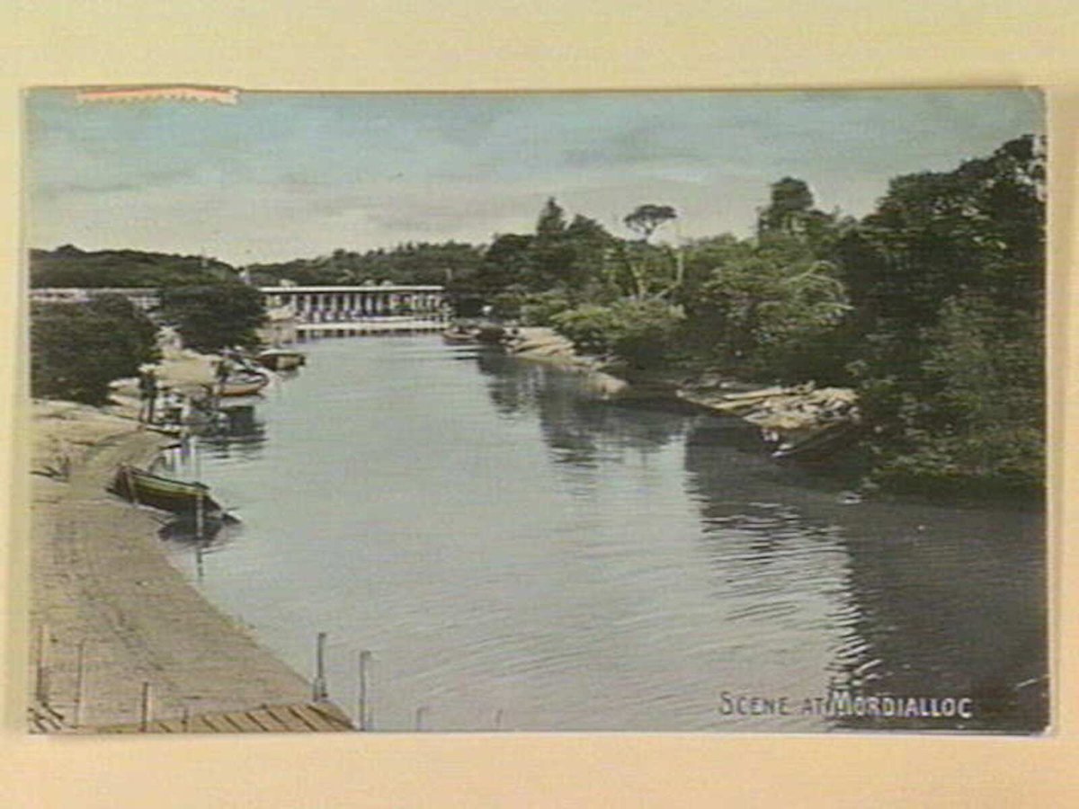SCENE AT MORDIALLOC (c. 1908)