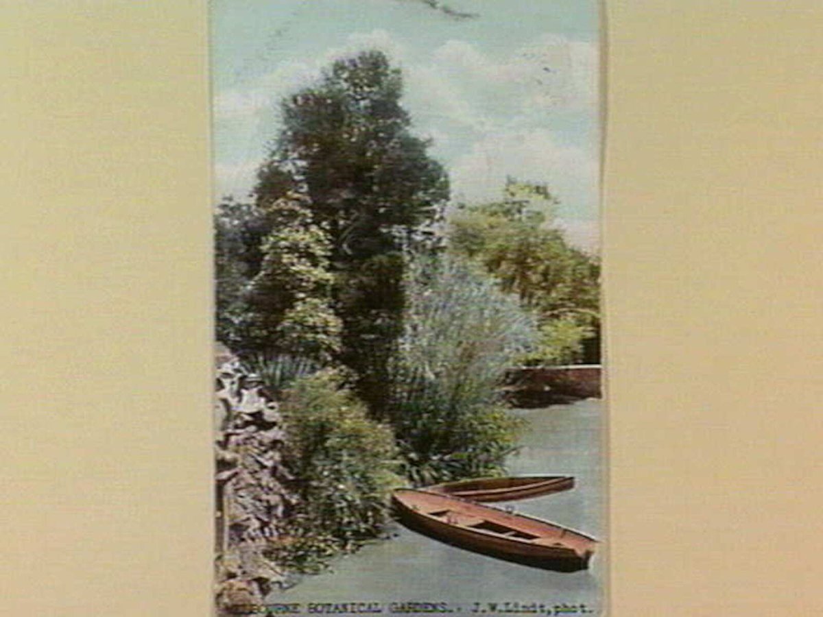 MELBOURNE BOTANICAL GARDENS, Melbourne City (c. 1909)