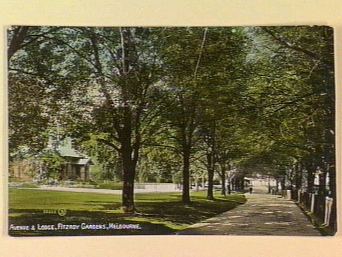 AVENUE & LODGE, FITZROY GARDENS, MELBOURNE, East Melbourne (c. 1910)