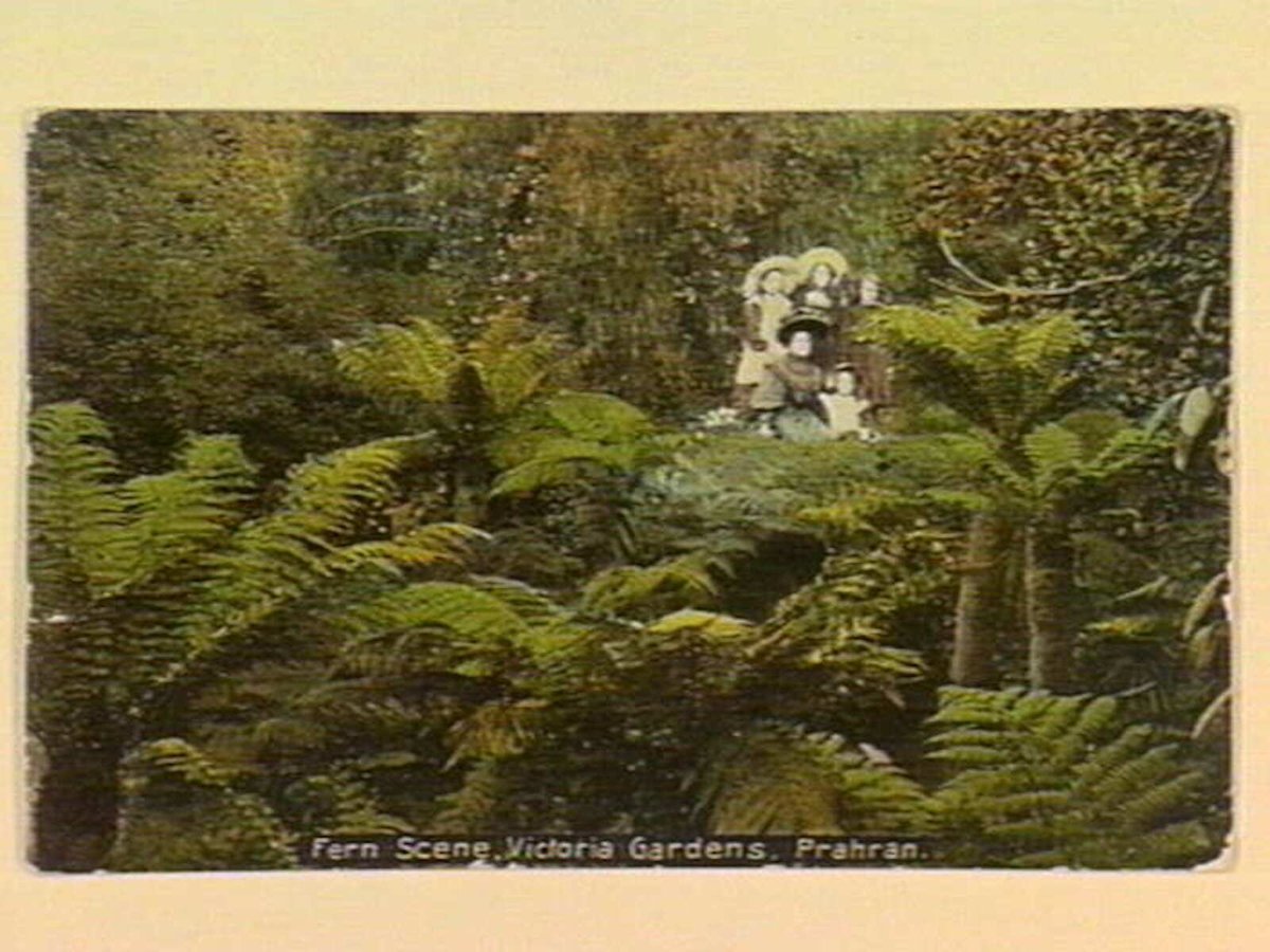 Fern Scene, Victoria Gardens, Prahran (c. 1907)