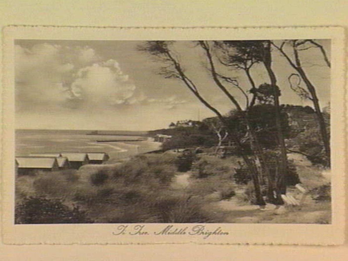 Ti Tree, Middle Brighton (c. 1912)
