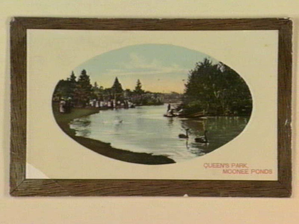 QUEEN'S PARK, MOONEE PONDS (1905–14)