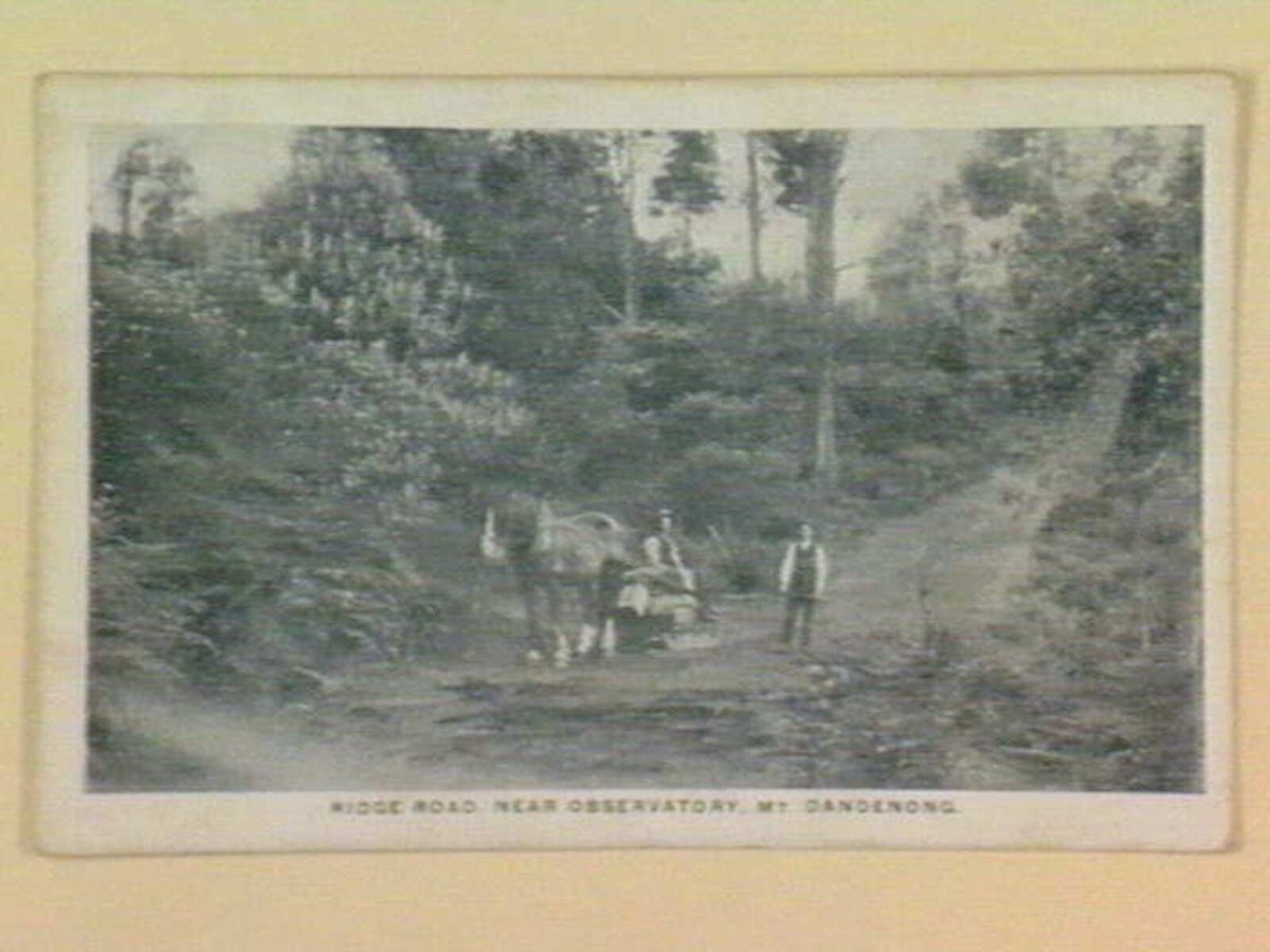 RIDGE ROAD, NEAR OBSERVATORY, Mt. DANDENONG, Melbourne City (1905–14)
