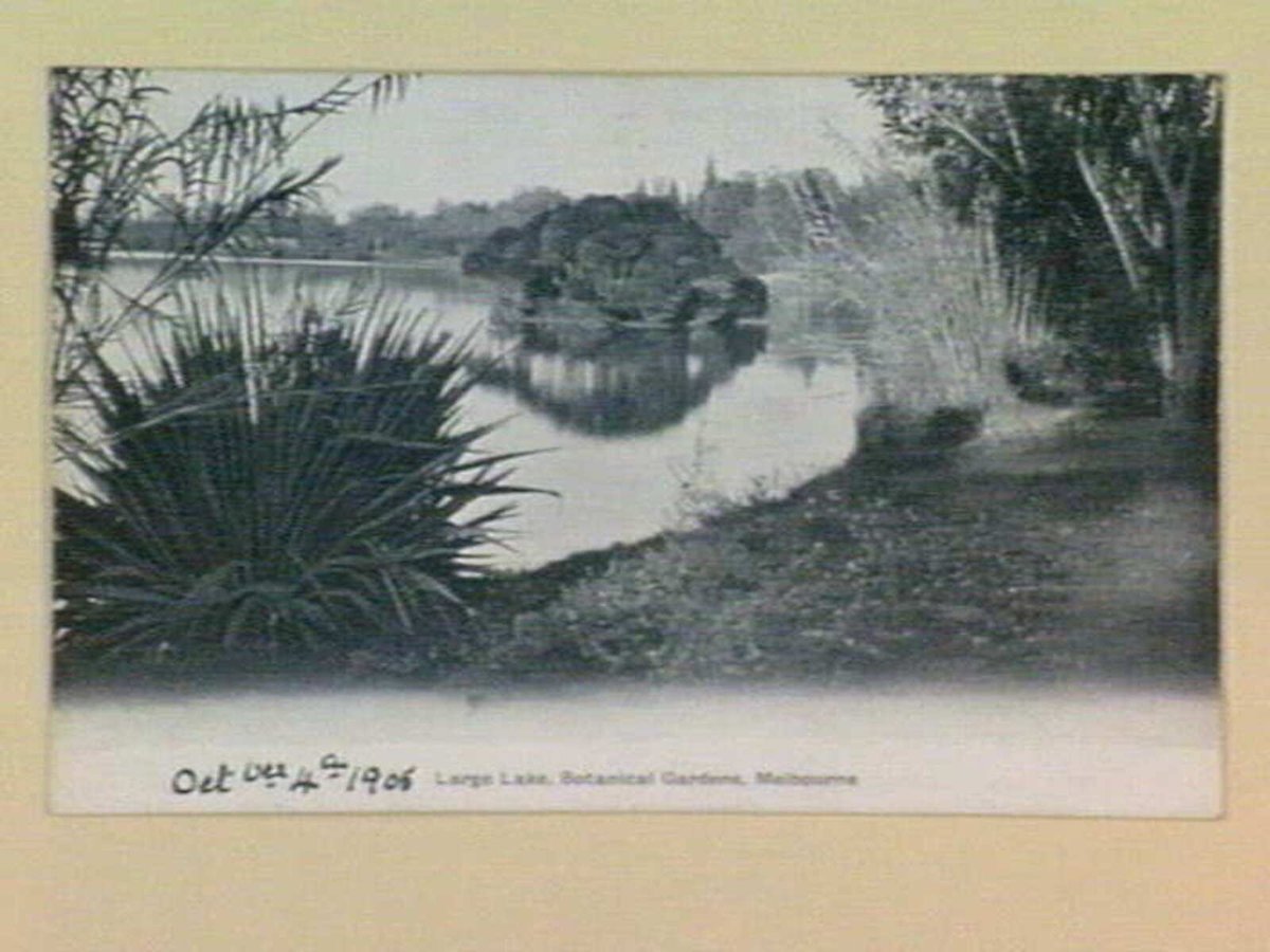 Large Lake, Botanical Gardens, Melbourne, Melbourne City (c. 1905)