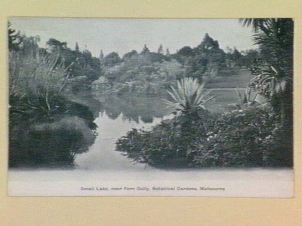Small Lake, near Fern Gully, Botanical Gardens, Melbourne, Melbourne City (1905–14)