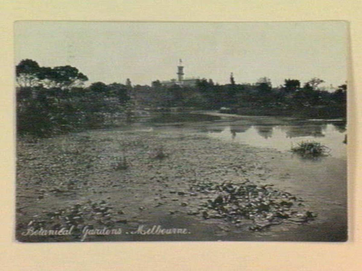 Botanical Gardens. Melbourne, Melbourne City (1905–14)