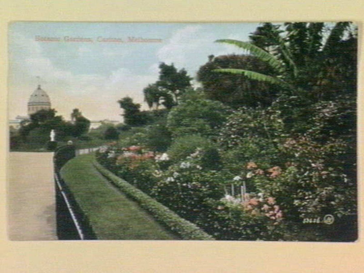 Botanic Gardens, Carlton, Melbourne, Melbourne City (c. 1906)