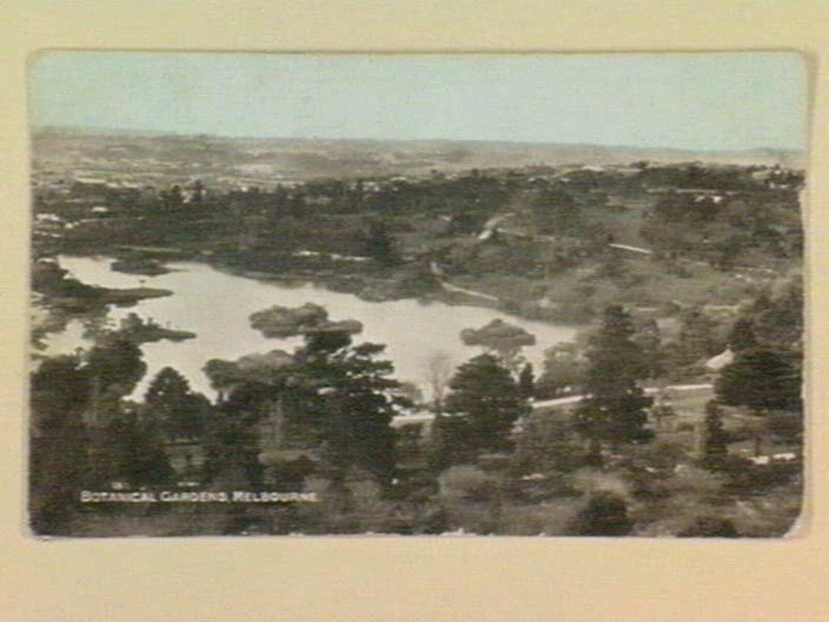 Botanical Gardnes, Melbourne (c. 1906)