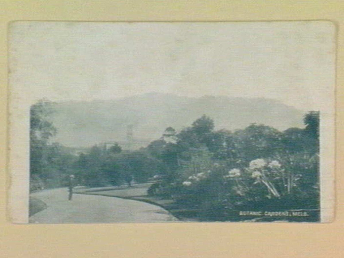 BOTANIC GARDENS, MELB, Melbourne City (1905–14)