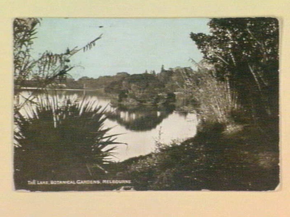 The Lake, Botanical Gardens, Melbourne, Melbourne City (c. 1907)
