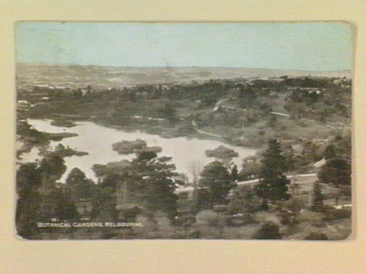 Botanical Gardens, Melbourne, Melbourne City (c. 1905)