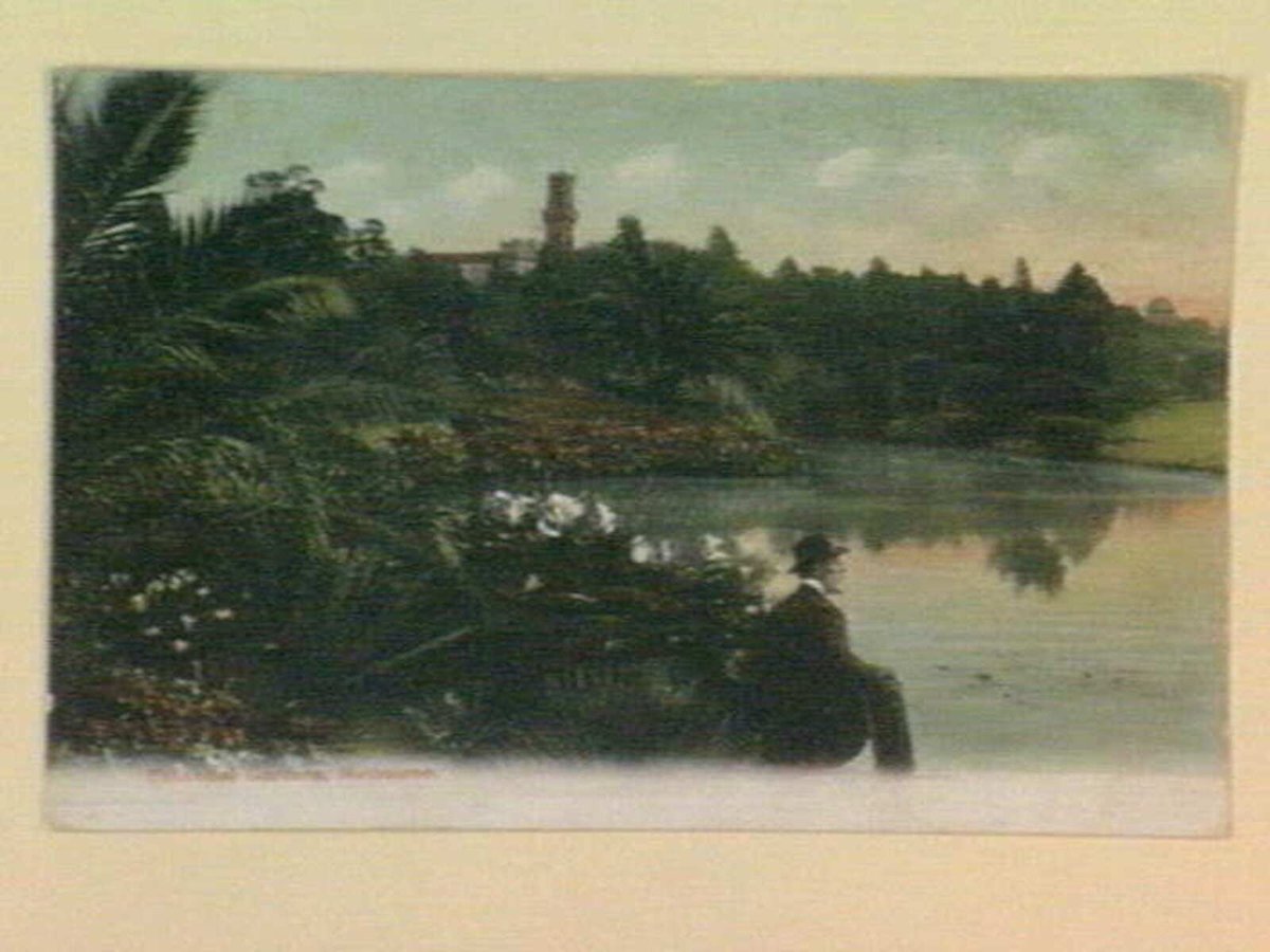 Botanical Gardens, Melbourne, Melbourne City (c. 1905)