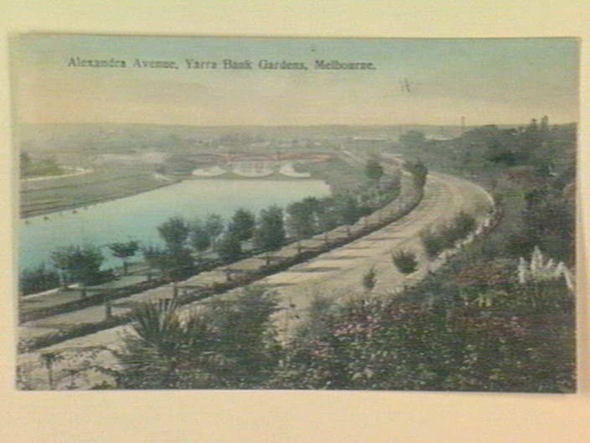 Alexandra Avenue, Yarra Bank Gardens, Melbourne, Melbourne City (1903–14)