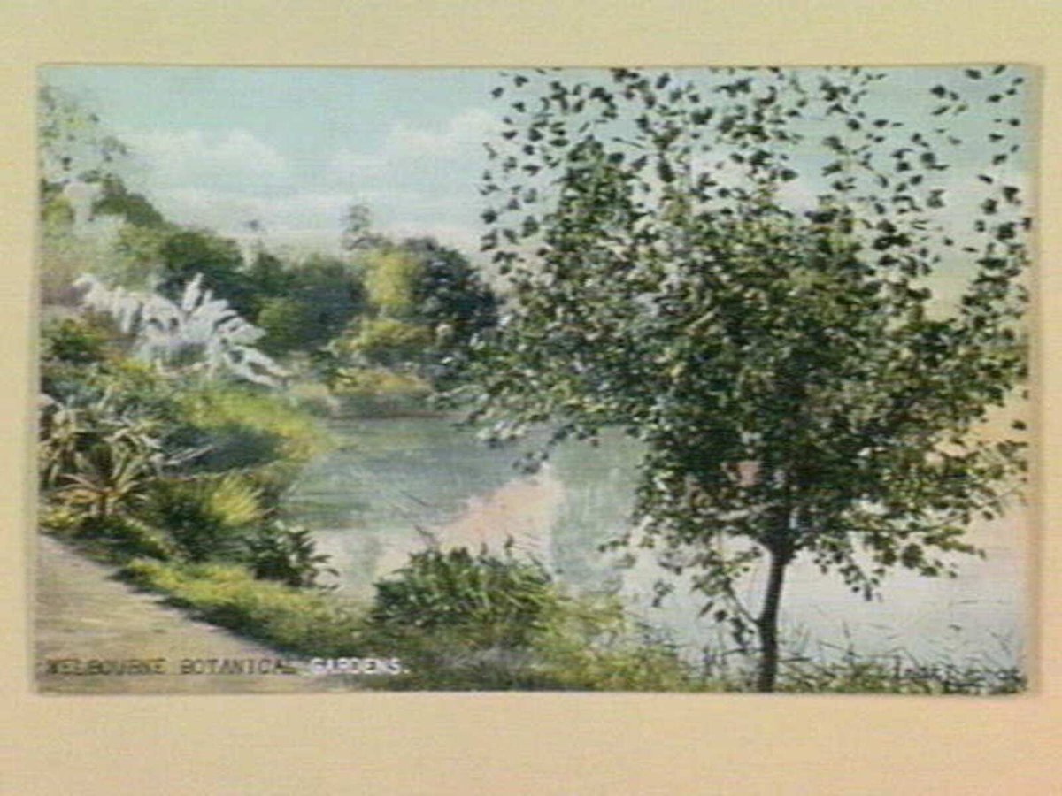 MELBOURNE BOTANICAL GARDENS, Melbourne City (1905–14)