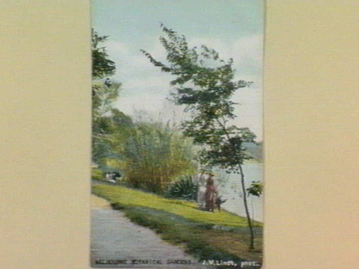 MELBOURNE BOTANICAL GARDENS, Melbourne City (1905–14)