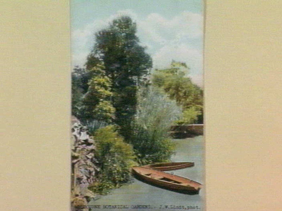 MELBOURNE BOTANICAL GARDENS, Melbourne City (1905–14)