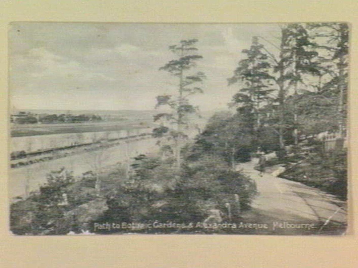 Path to Botanic Gardens & Alexandra Avenue. Melbourne, Melbourne City (c. 1908)