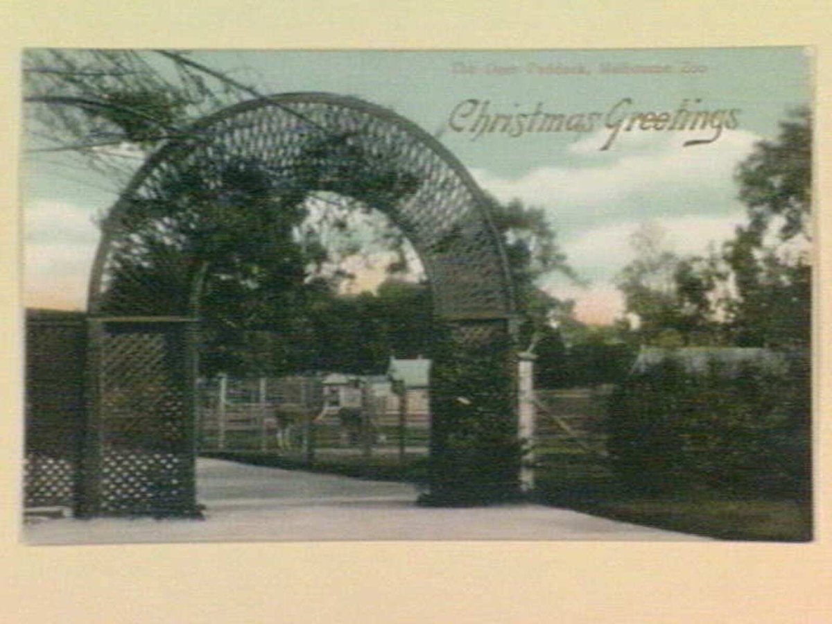 The Deer Paddock, Melbourne Zoo, Parkville (1905–14)