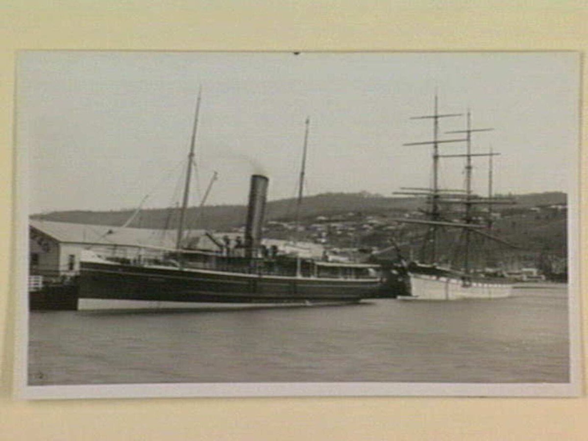 Old bay steamer Coogee sunk by the owners outside Port Phillip Heads on March 29 1928, Port Phillip Bay (1914–41)