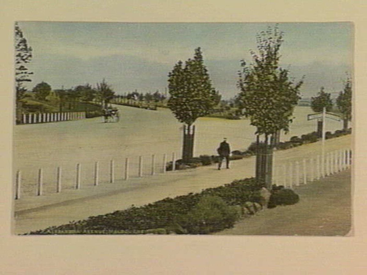 Alexandra Avenue, Melbourne, Melbourne City (1905–12)