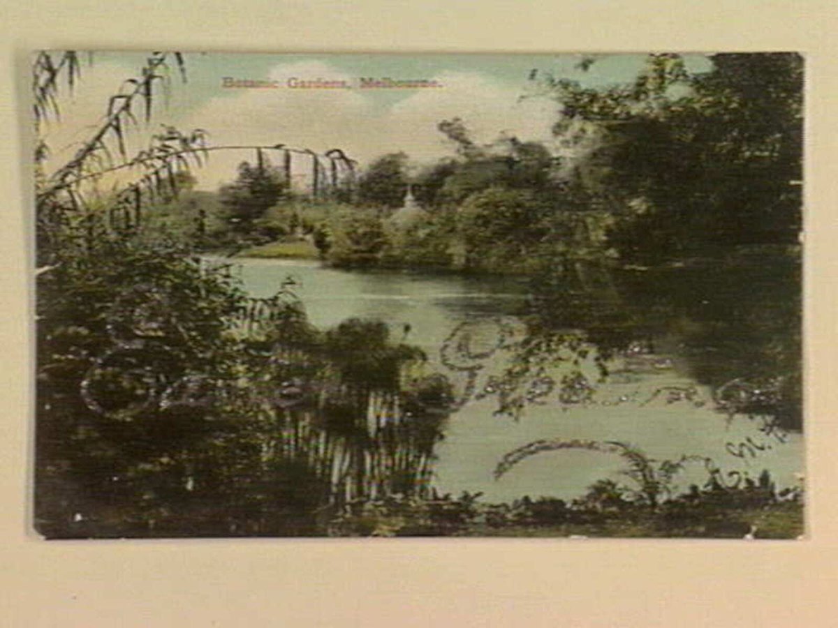 Botanic Gardens, Melbourne, Melbourne City (1905–12)