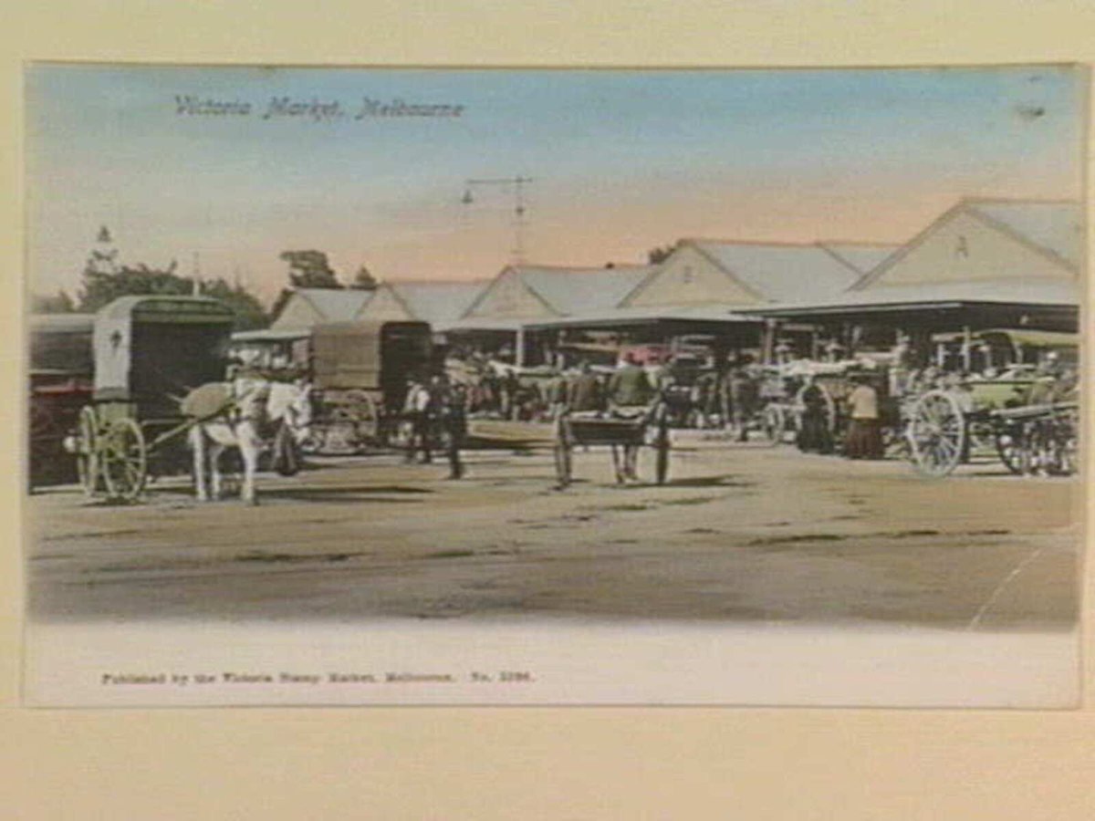 Victoria Market, Melbourne, Melbourne City (1895–1915)