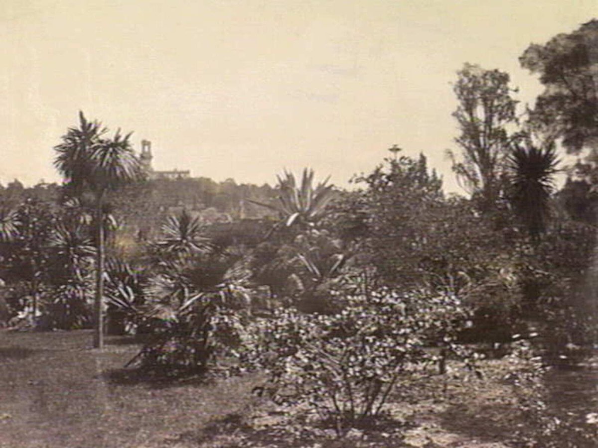 Royal Botanic Gardens, Melbourne, Melbourne City (1865–95)