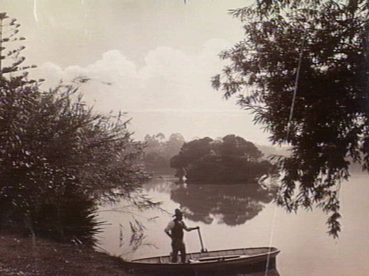 Man in a row boat on the lake at the Royal Botanic Gardens, Melbourne, Melbourne City (1900–20)